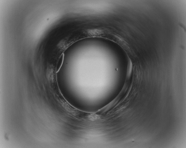 X0000099460762200805161047