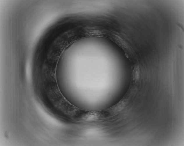 X0000099460764200805161047