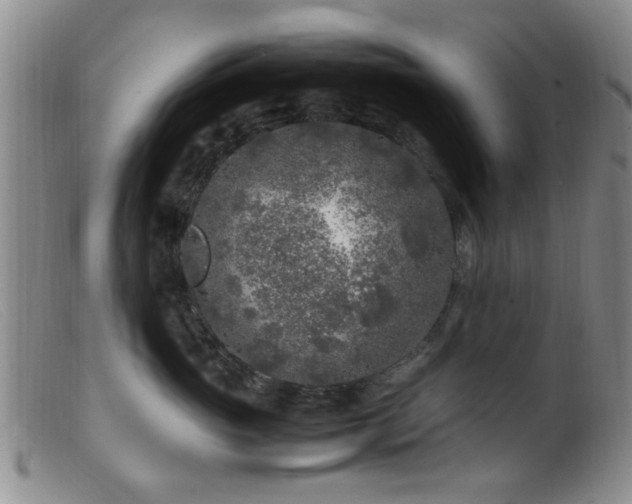 X0000099460765200805161047