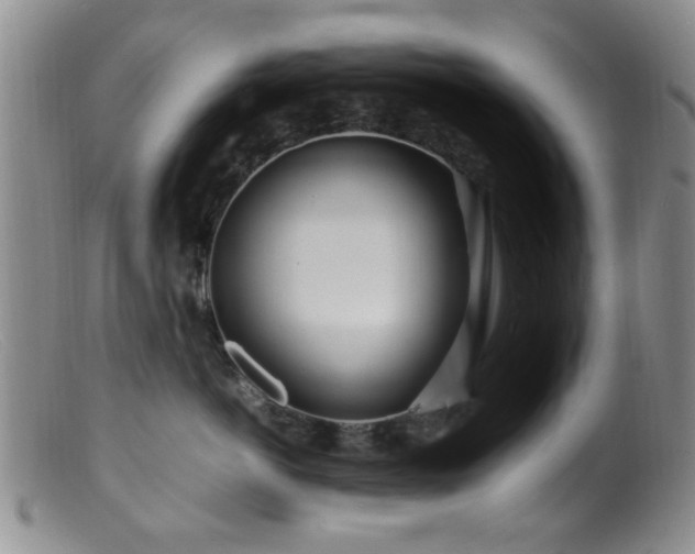 X0000099460766200805161047