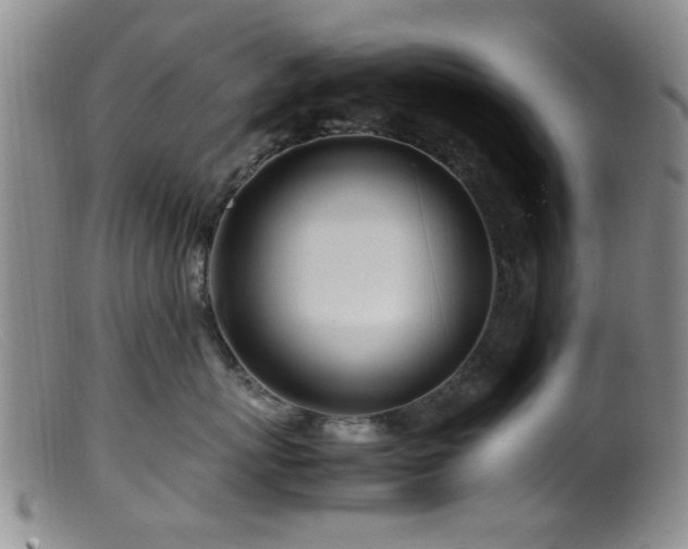 X0000099460767200805161047