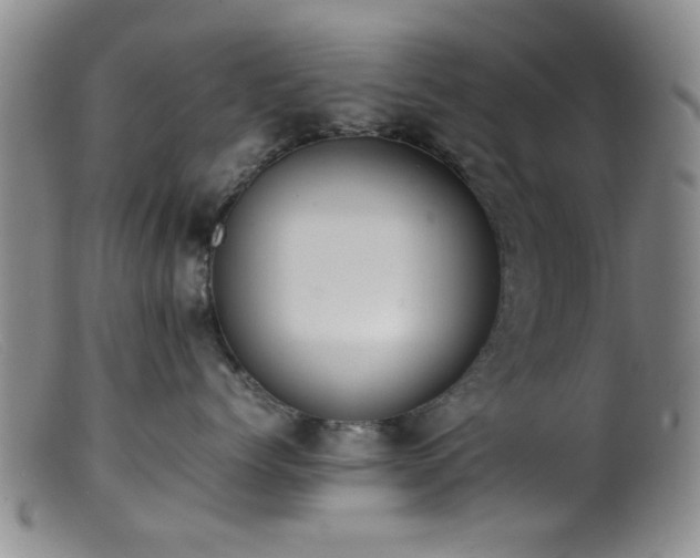 X0000099460768200805161047