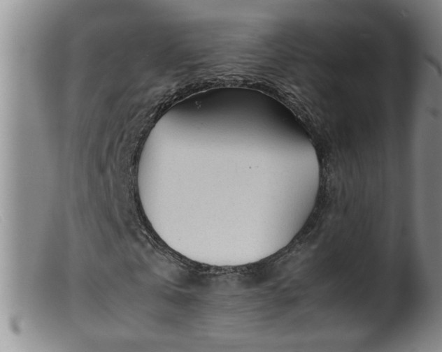 X0000099460769200805161046