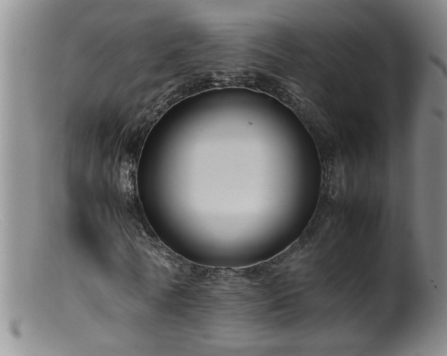 X0000099460770200805161046