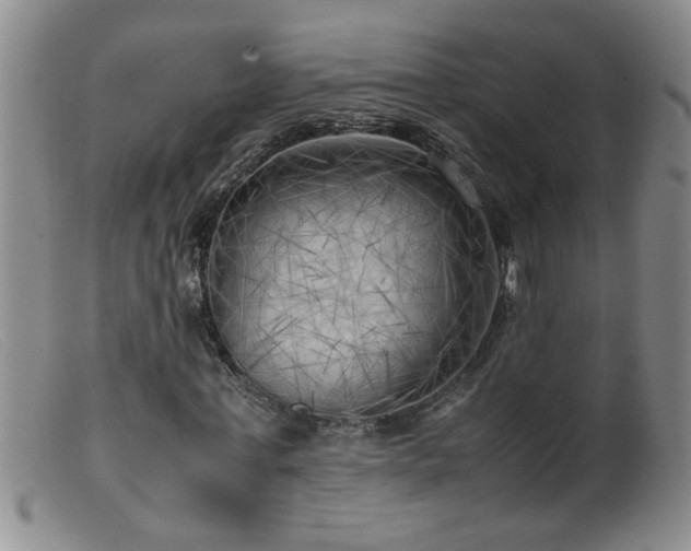 X0000099460771200805161046