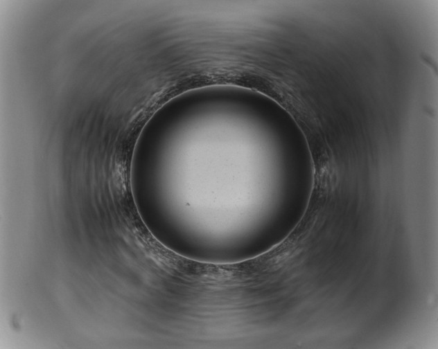 X0000099460772200805161046