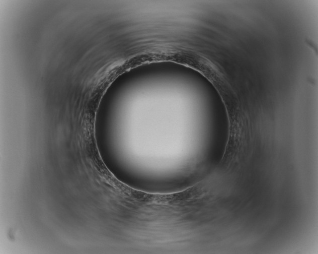 X0000099460773200805161046