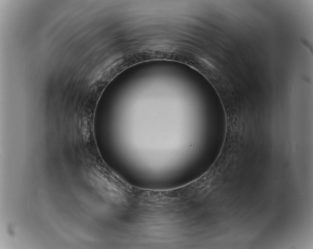 X0000099460774200805161046