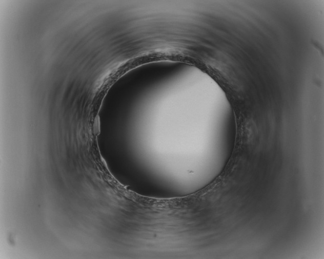 X0000099460776200805161046