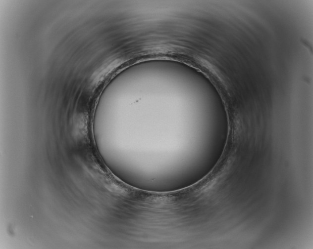 X0000099460778200805161046