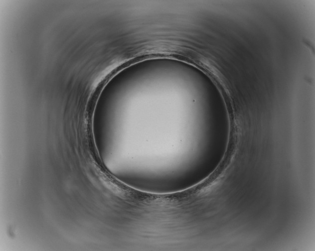 X0000099460779200805161046