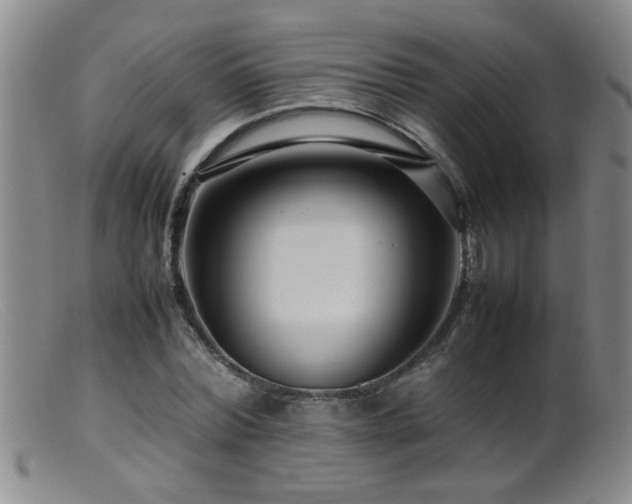 X0000099460780200805161046