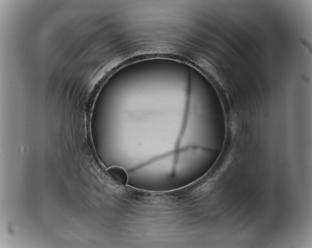 X0000099460781200805161046