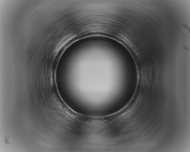 X0000099460782200805161046