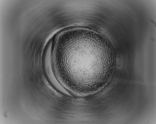 X0000099460784200805161046