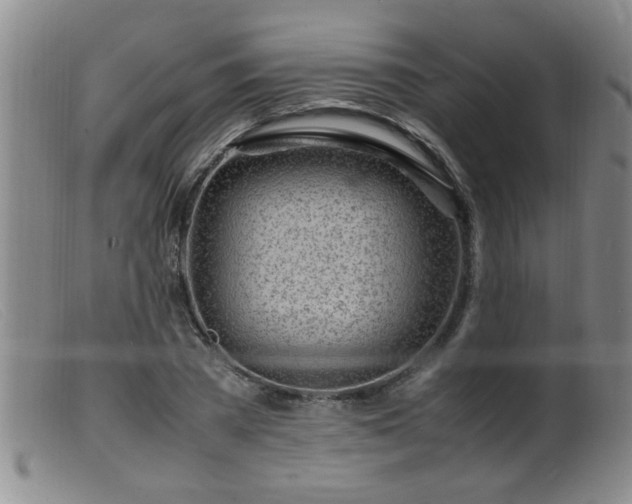 X0000099460785200805161046