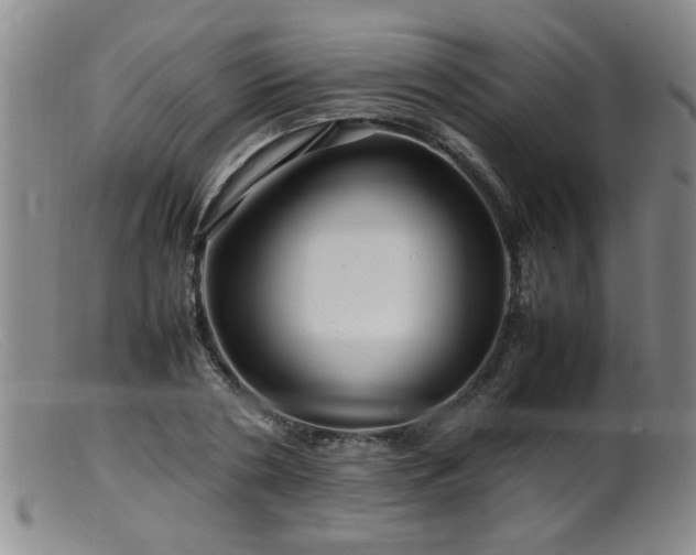 X0000099460786200805161046