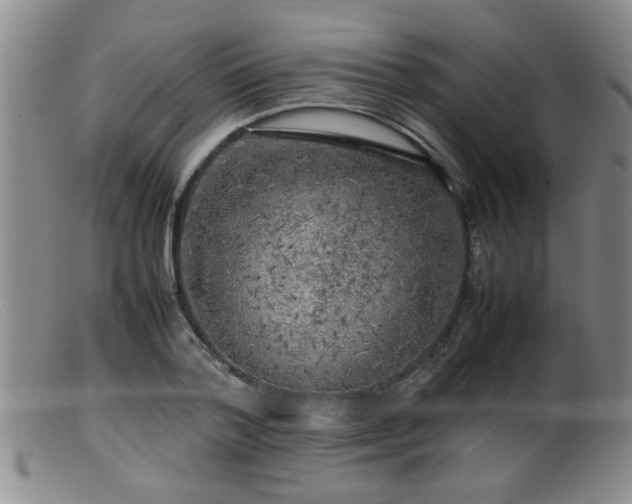 X0000099460788200805161046