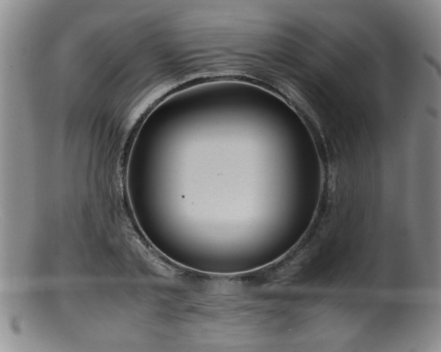 X0000099460789200805161046