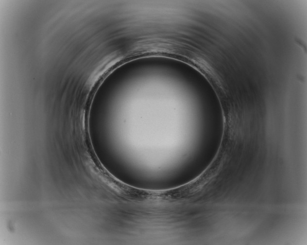 X0000099460790200805161046