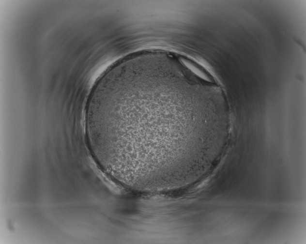 X0000099460791200805161046