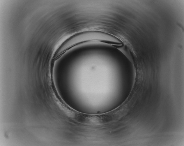 X0000099460792200805161046