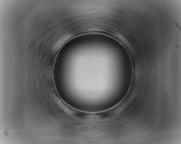 X0000099460793200805161046