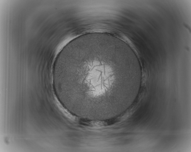 X0000099460795200805161046