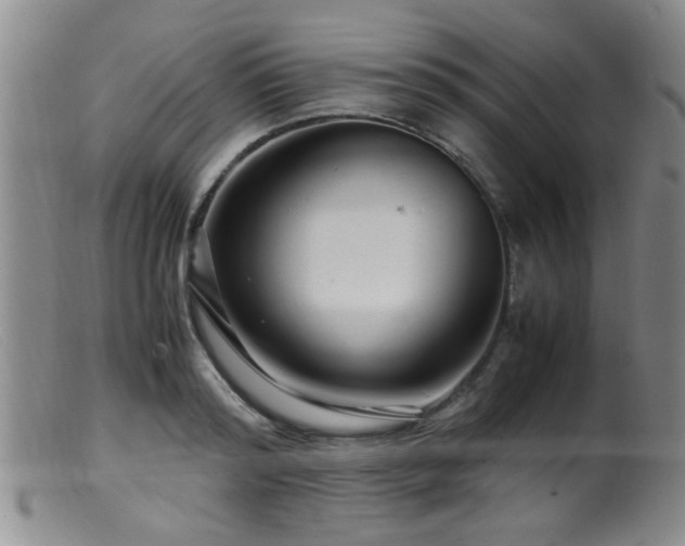 X0000099460796200805161046