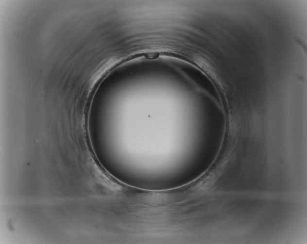 X0000099460797200805161046