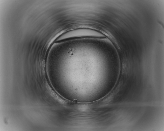 X0000099460798200805161046