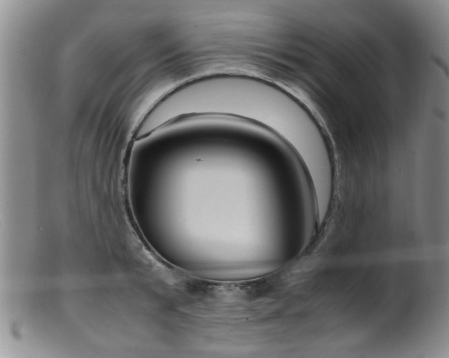 X0000099460799200805161046