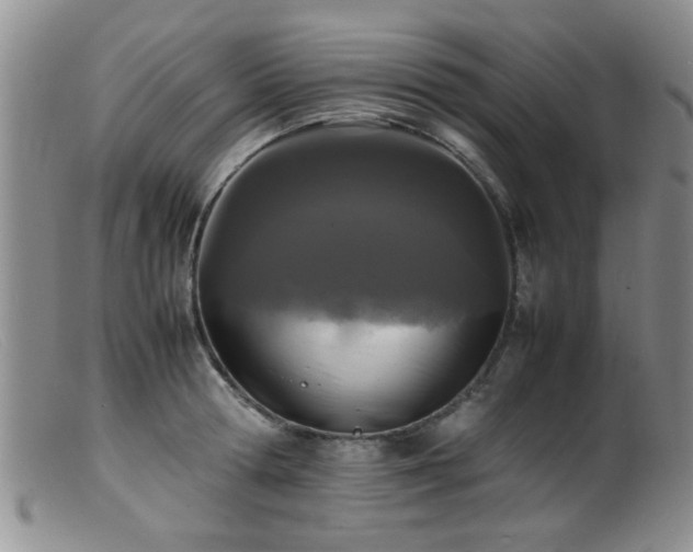 X0000099460802200805161045