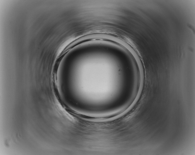 X0000099460803200805161045