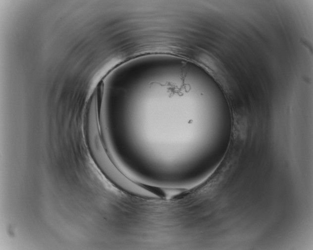 X0000099460804200805161045