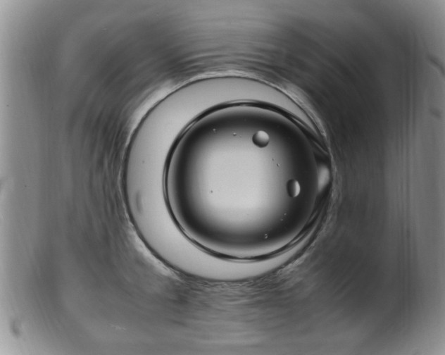 X0000099460805200805161045