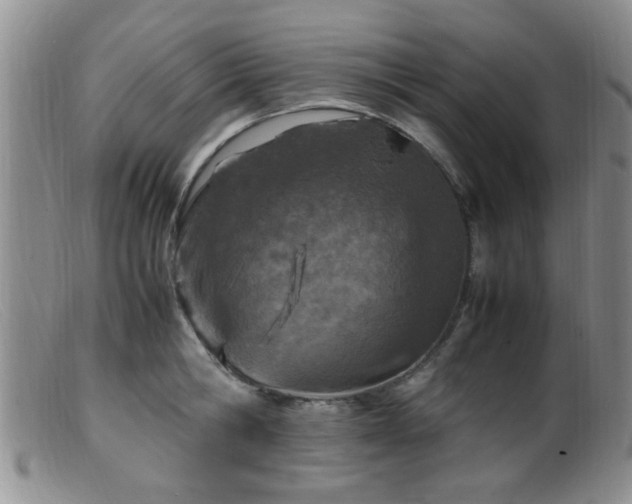 X0000099460806200805161045