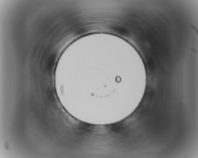 X0000099460807200805161045