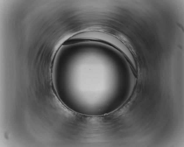 X0000099460808200805161045