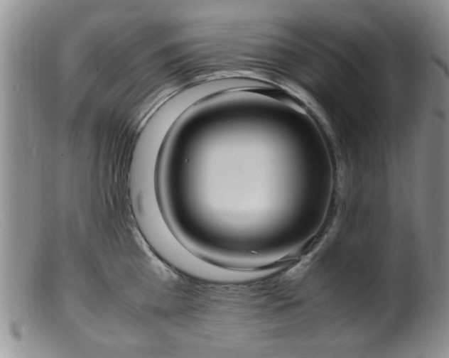 X0000099460809200805161045