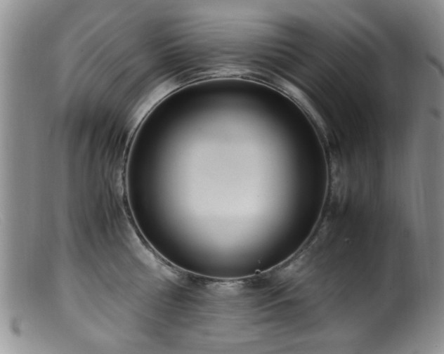 X0000099460810200805161045