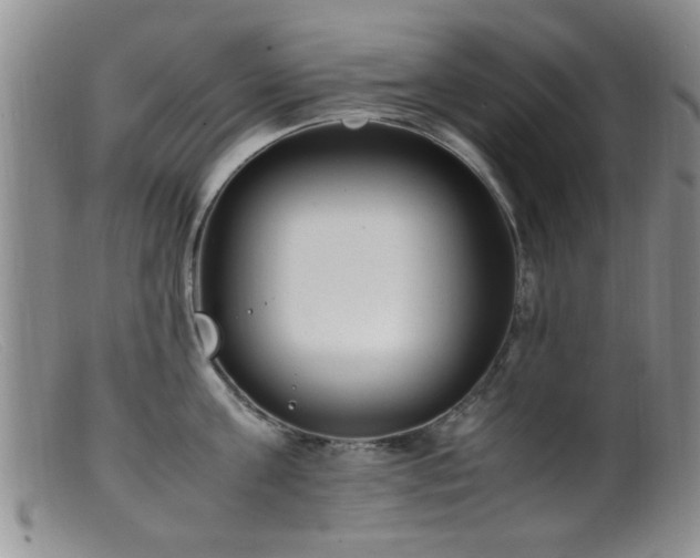 X0000099460811200805161045