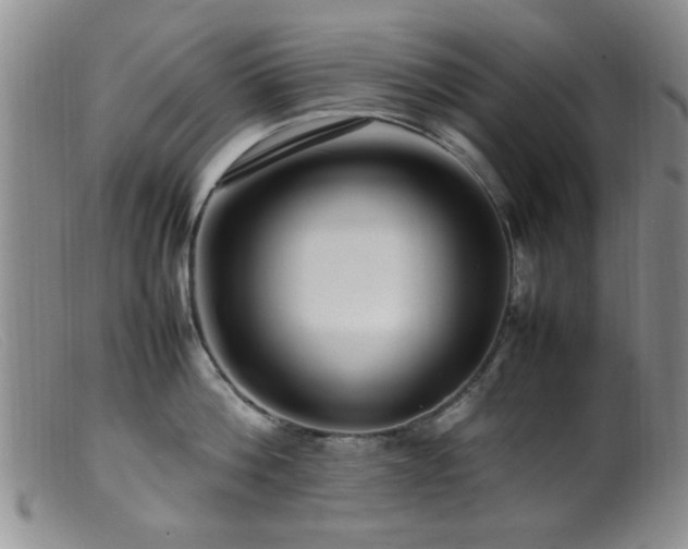 X0000099460812200805161045