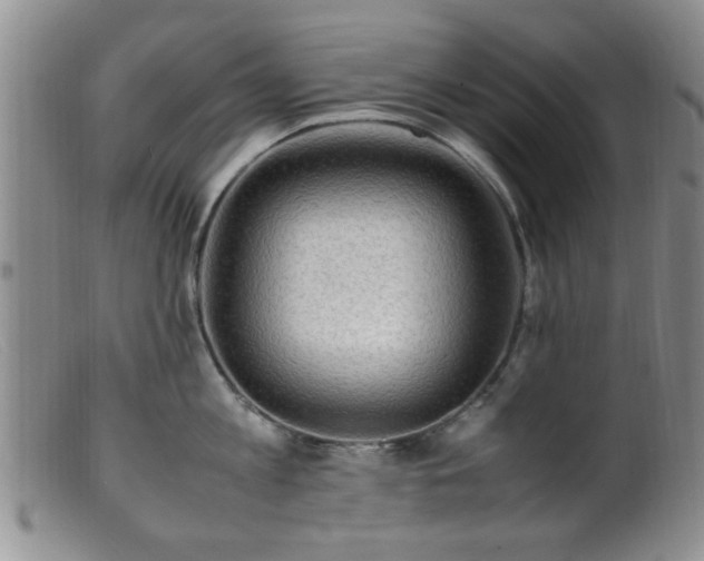 X0000099460813200805161045