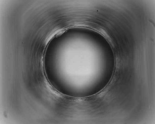 X0000099460814200805161045