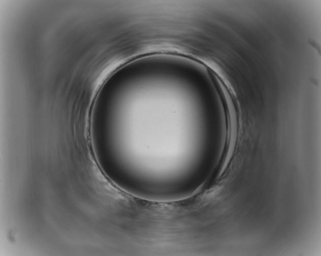 X0000099460815200805161045