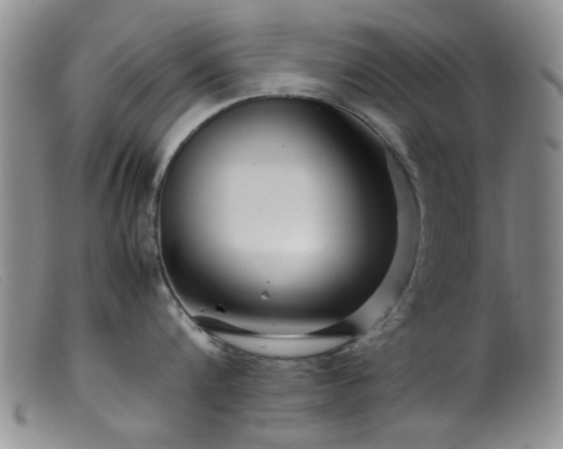 X0000099460816200805161045