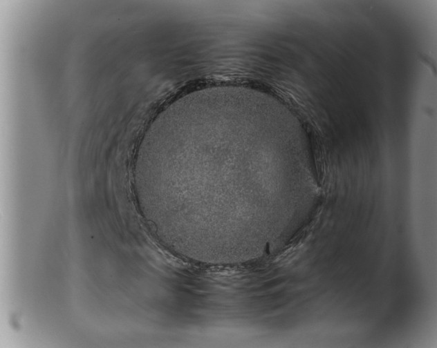 X0000099460817200805161045