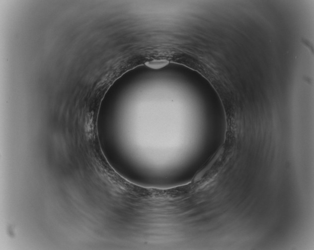 X0000099460818200805161045