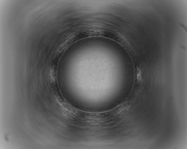 X0000099460819200805161045